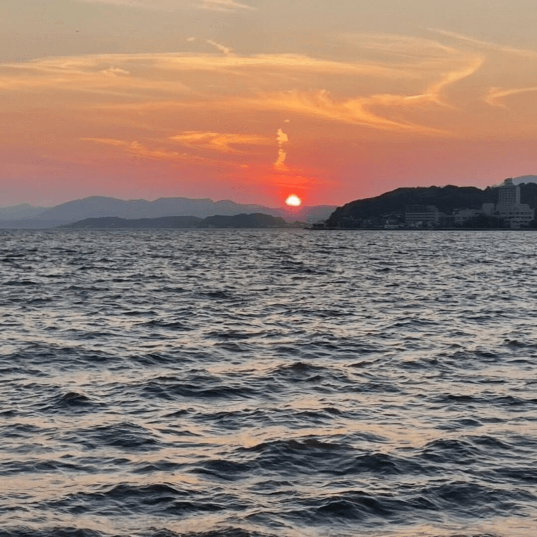 user17953747973290125080